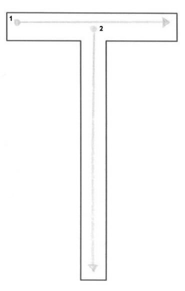 T